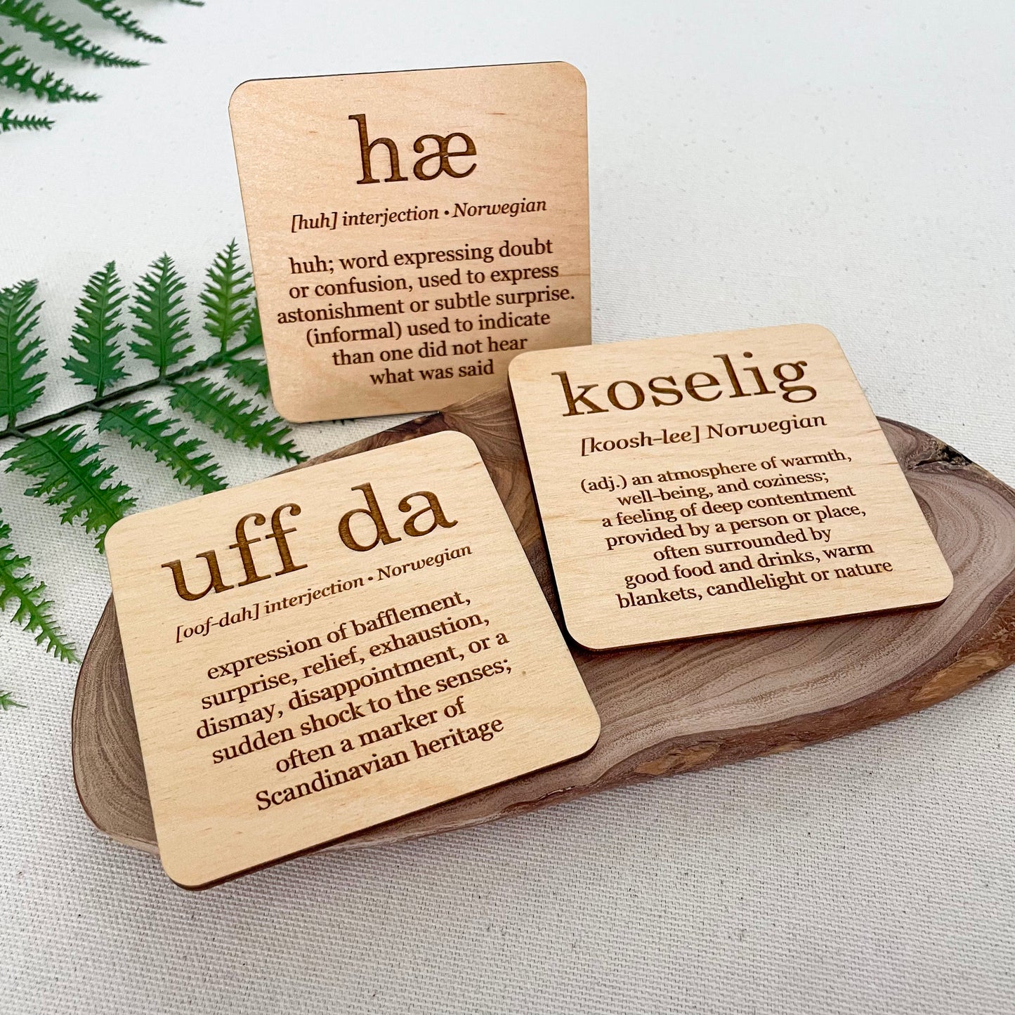 Kitchen magnets