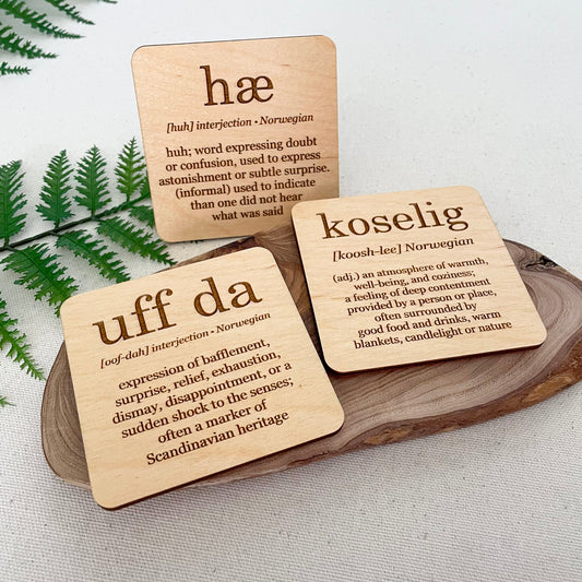 Kitchen magnets